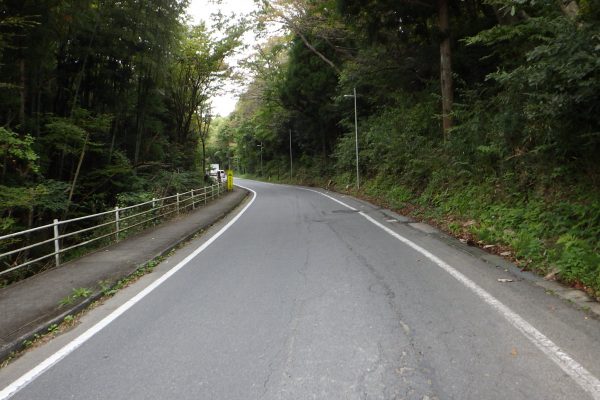 道路橋りょう整備(再復)工事(改良舗装) 【№0241】