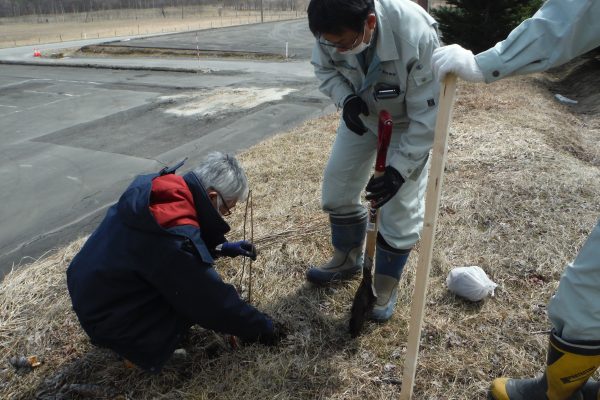 八千代公共育成牧場で桜の植樹を行いました