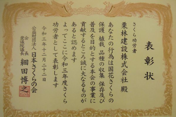 「さくら功労者」表彰をいただきました。