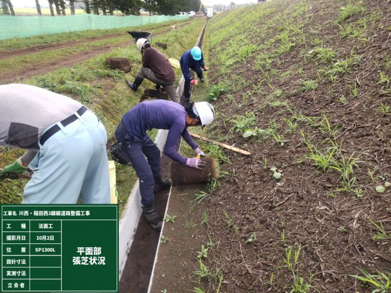 植生工-張芝状況