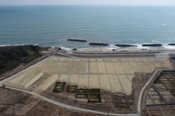 防災林造成（復興創生）０７０１工事　浪江地区【№0038】