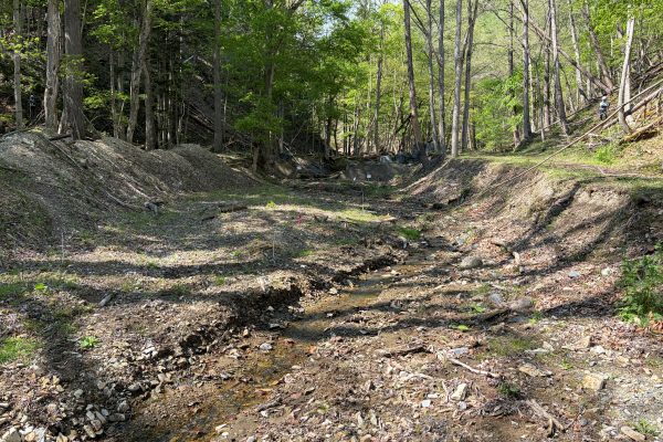 ワサビの沢治山工事